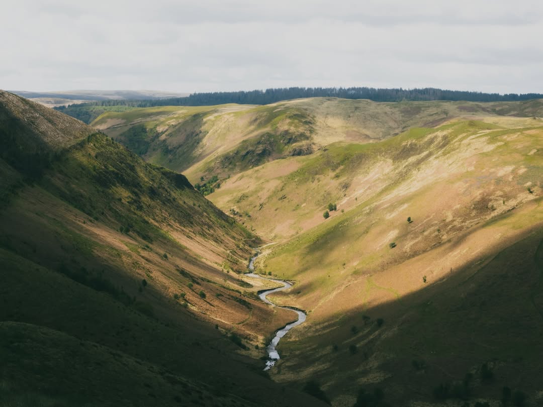 Finn Beales (@finn) photographs for @rewildingb ac...