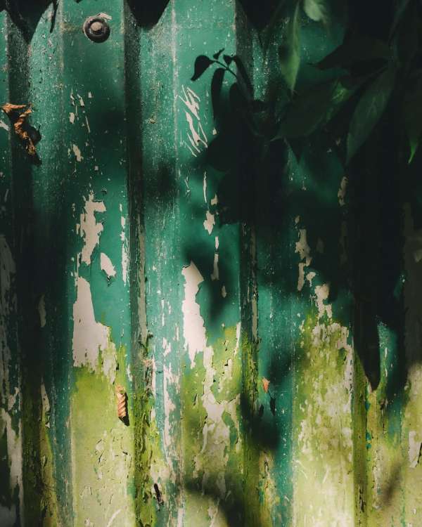 Maureen M. Evans (@maureenme) photographs t...