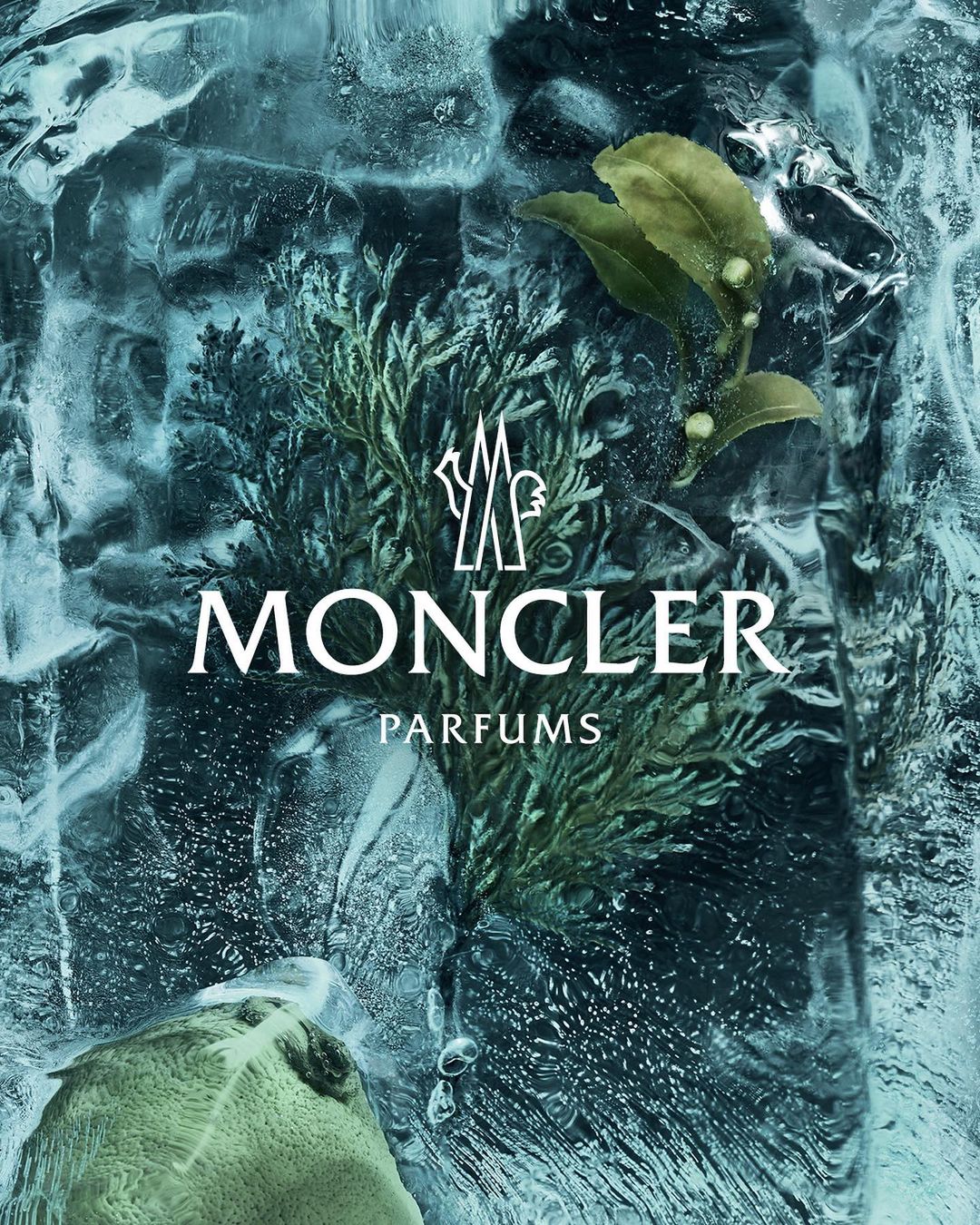 Moncler |  May. 23