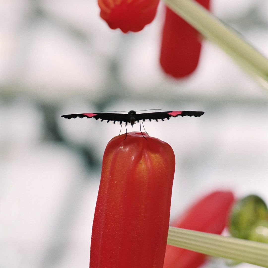 Wallpaper Magazine |  Jul. 23