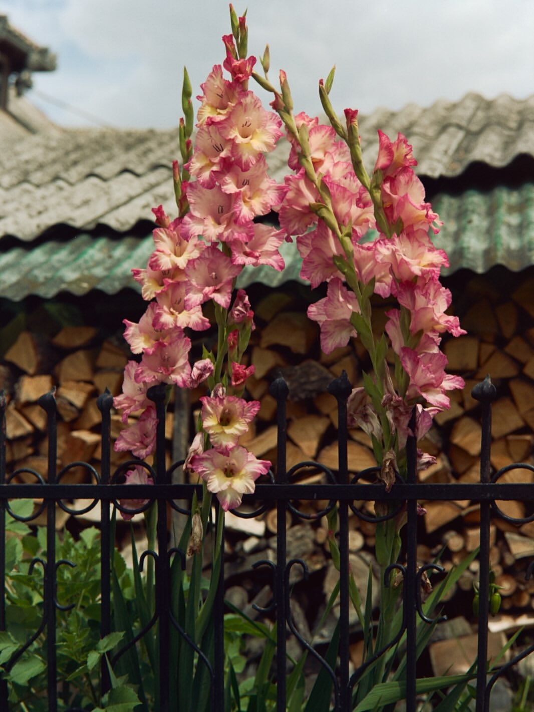slider image