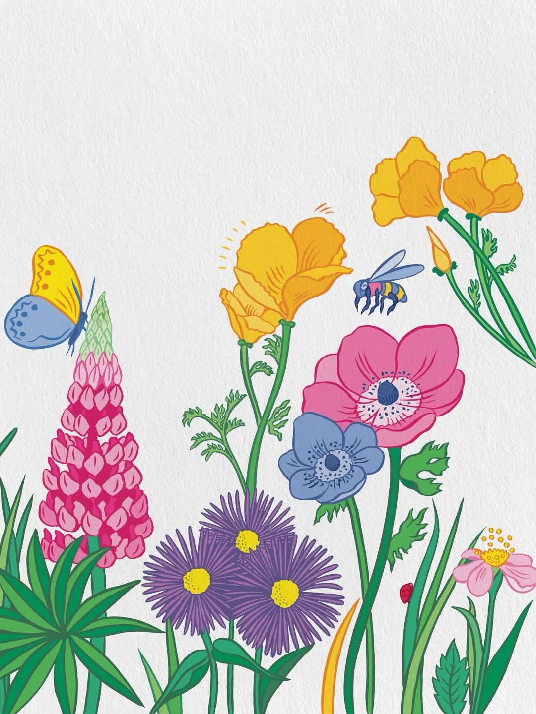 Emilie Sarnel X Éditions Marabout