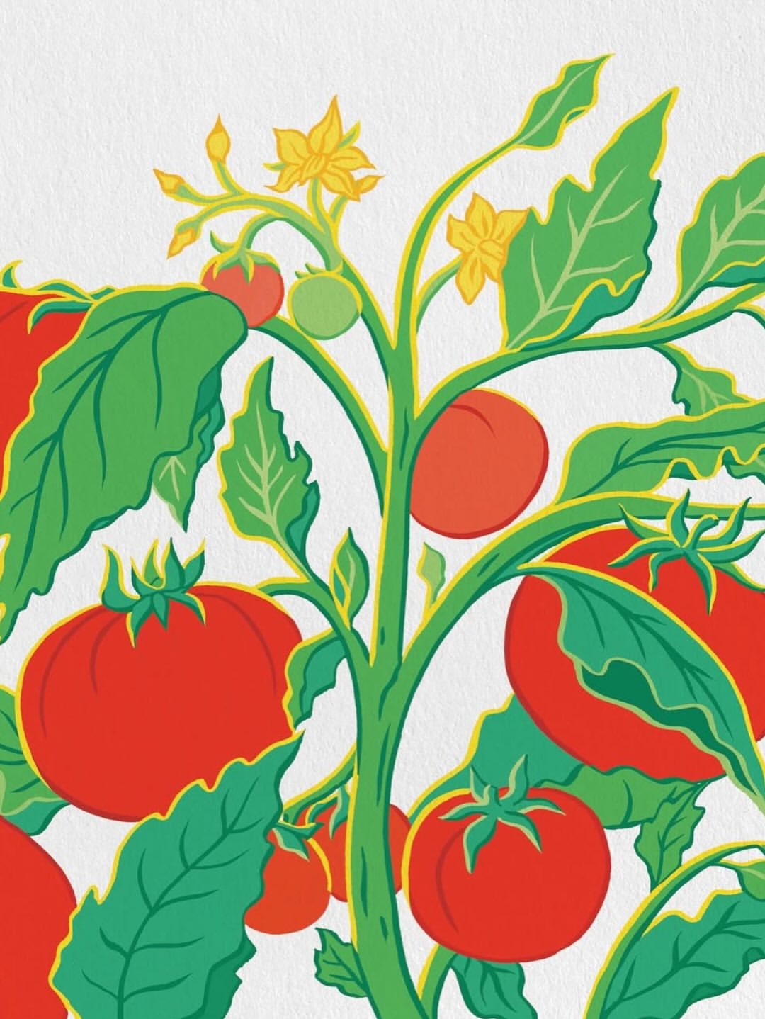 Emilie Sarnel X Éditions Marabout