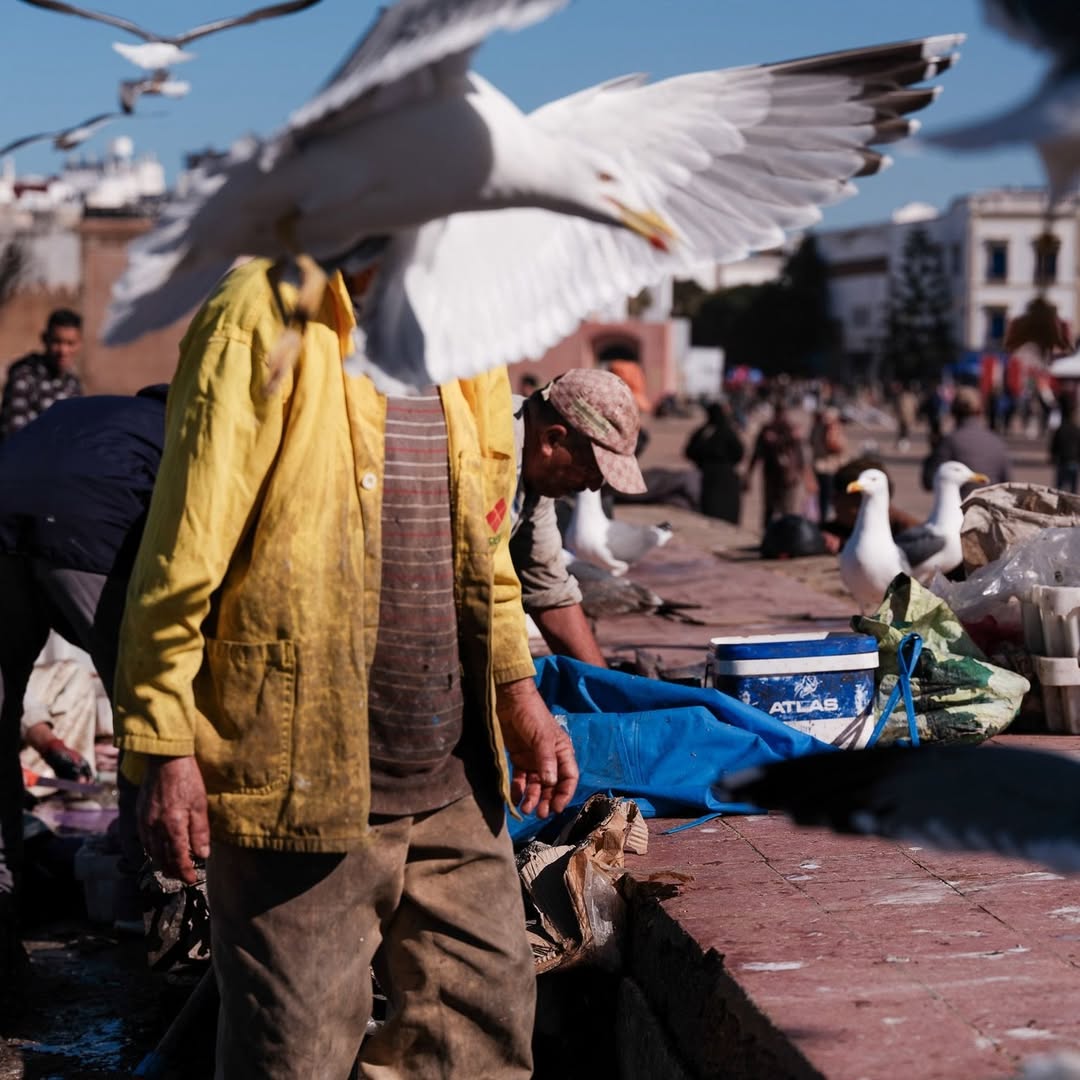 Laura Pannack Feb. 26