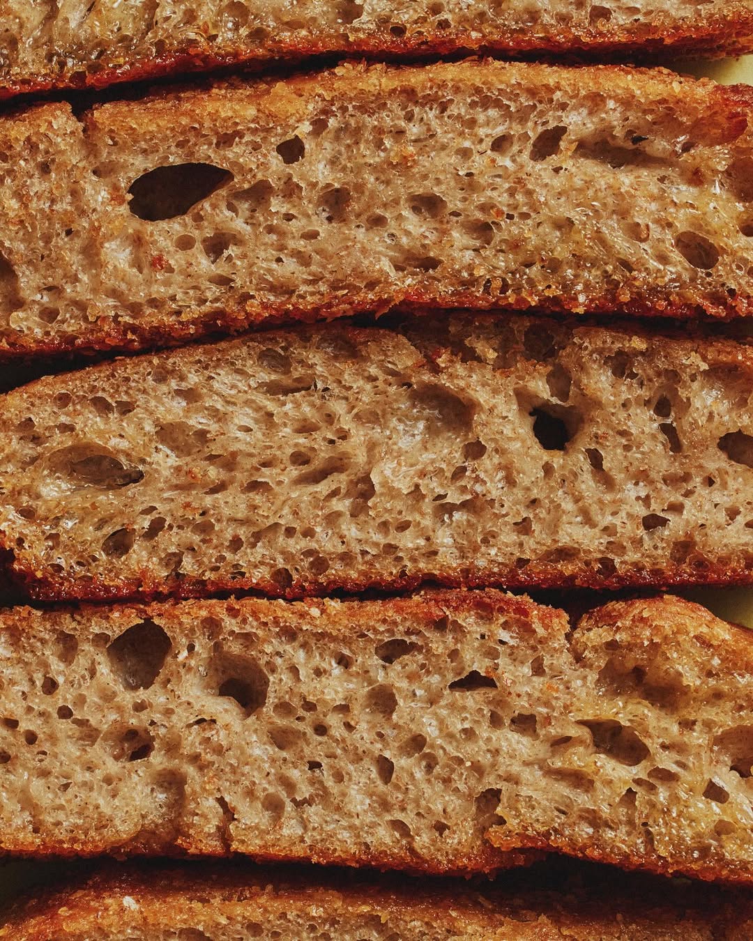 Laura Murray X Sohla El-Waylly