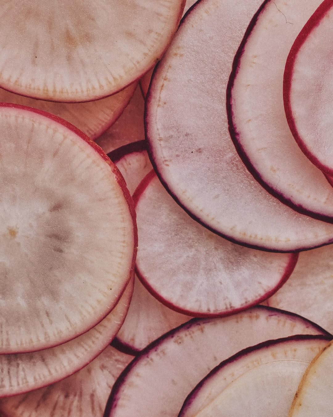 Laura Murray X Sohla El-Waylly