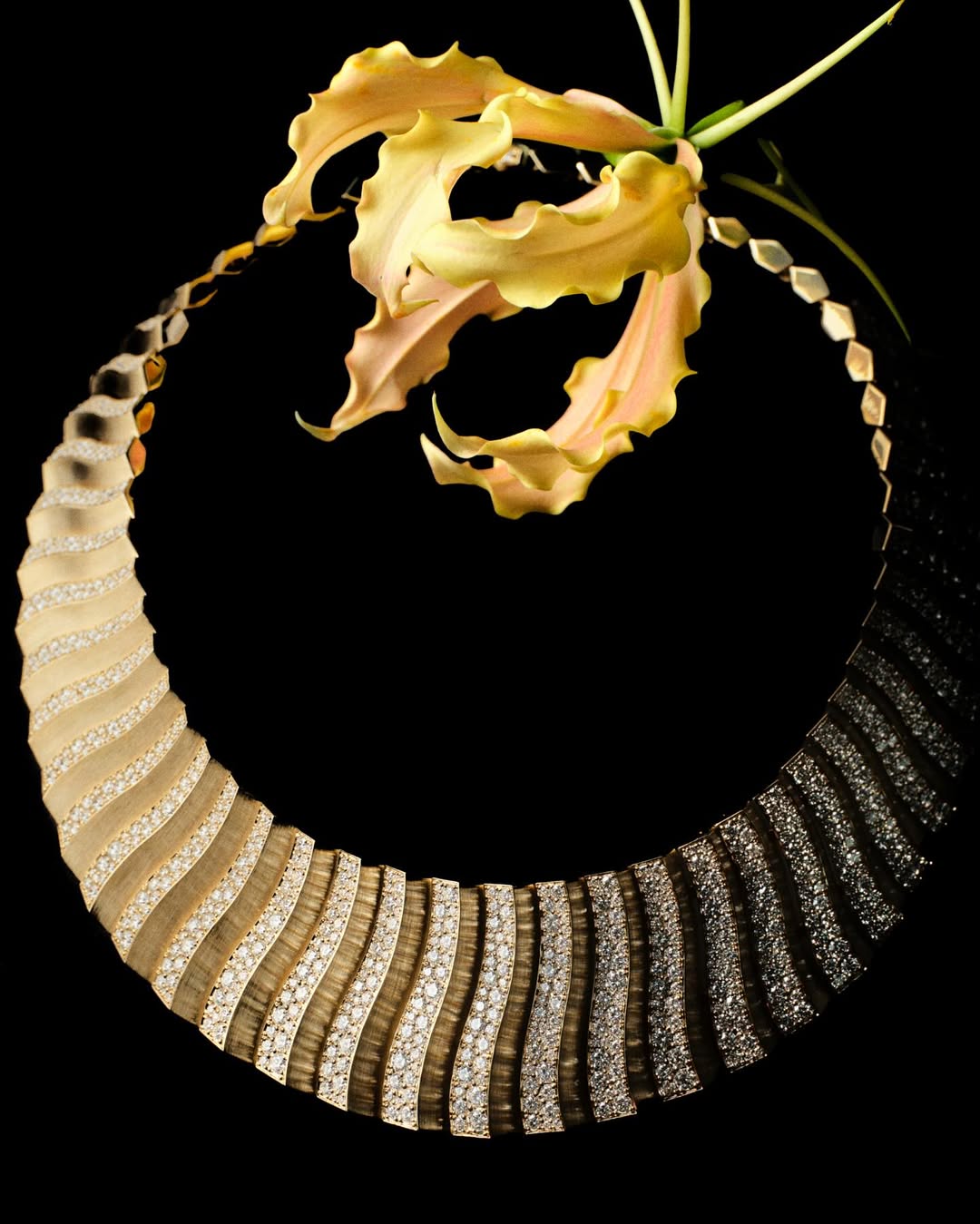 Laure Sée X Vchina_official