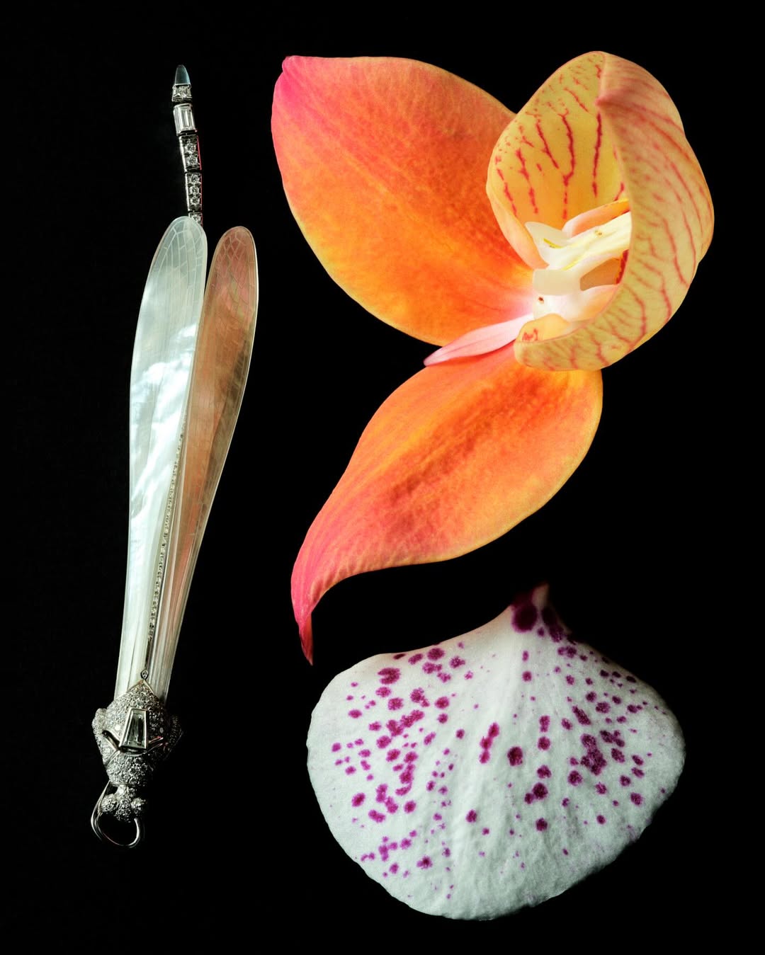 Laure Sée X Vchina_official Nov. 25