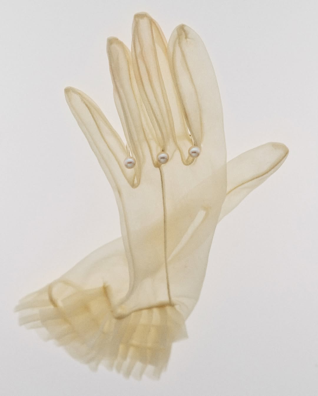 Lauren Coleman Jan. 26