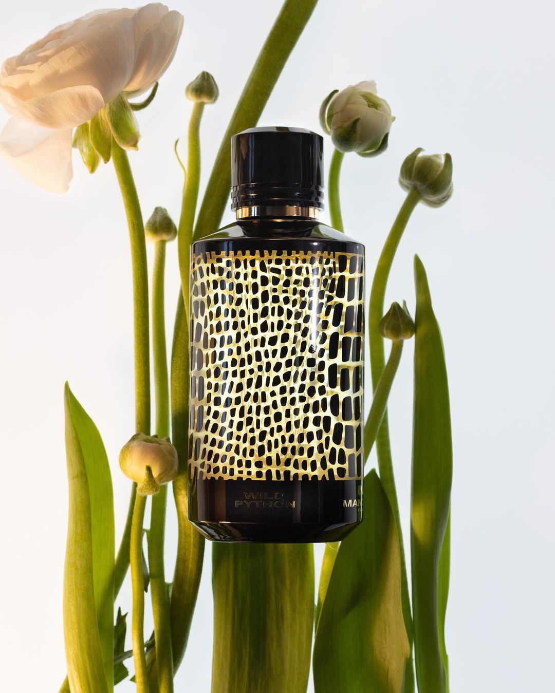 MANCERA Parfums |  Feb. 23