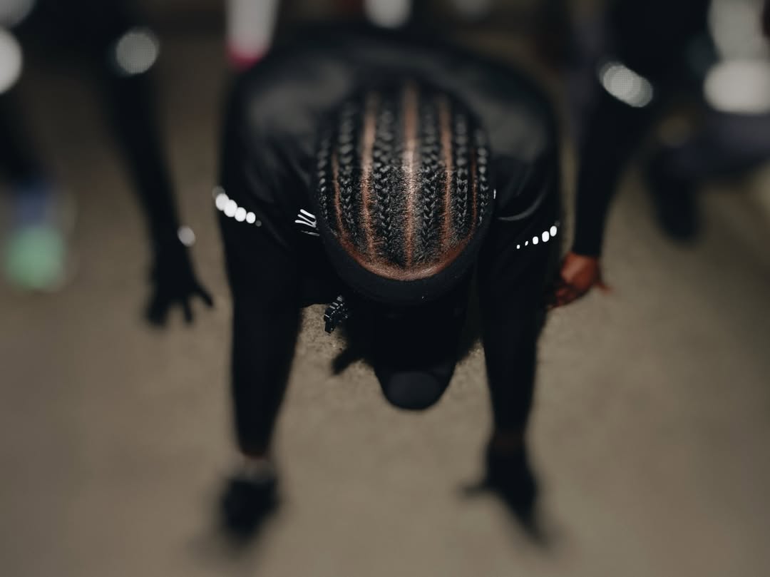 Laurent Segretier X Mosaique