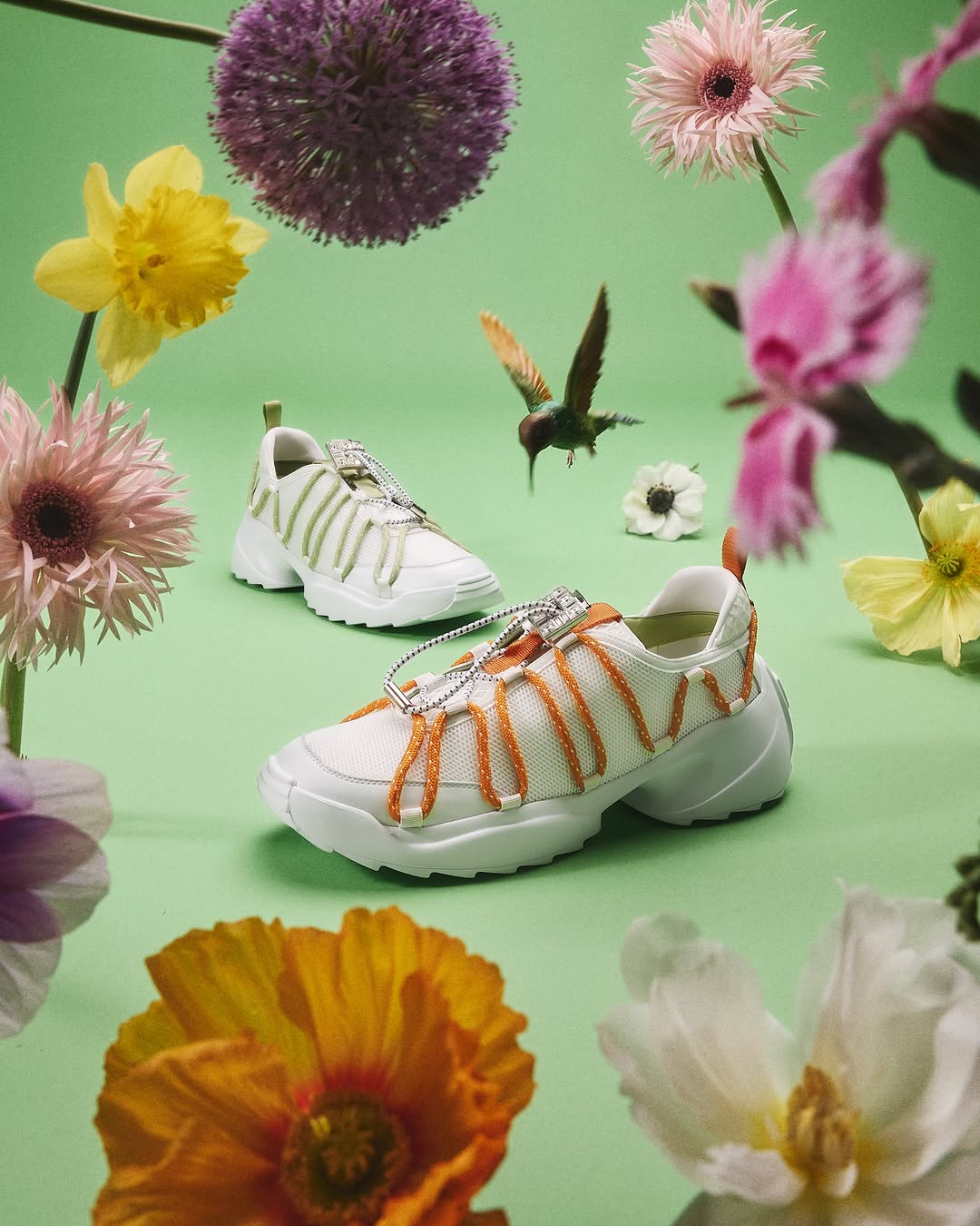 Léonard Oliviero X Roger Vivier