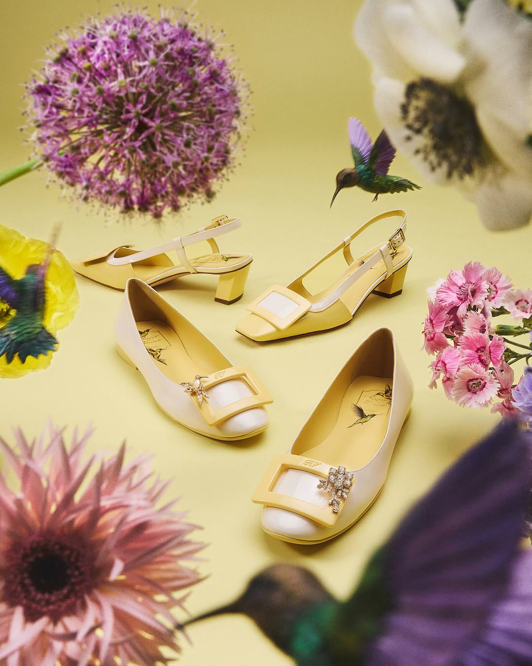 Léonard Oliviero X Roger Vivier