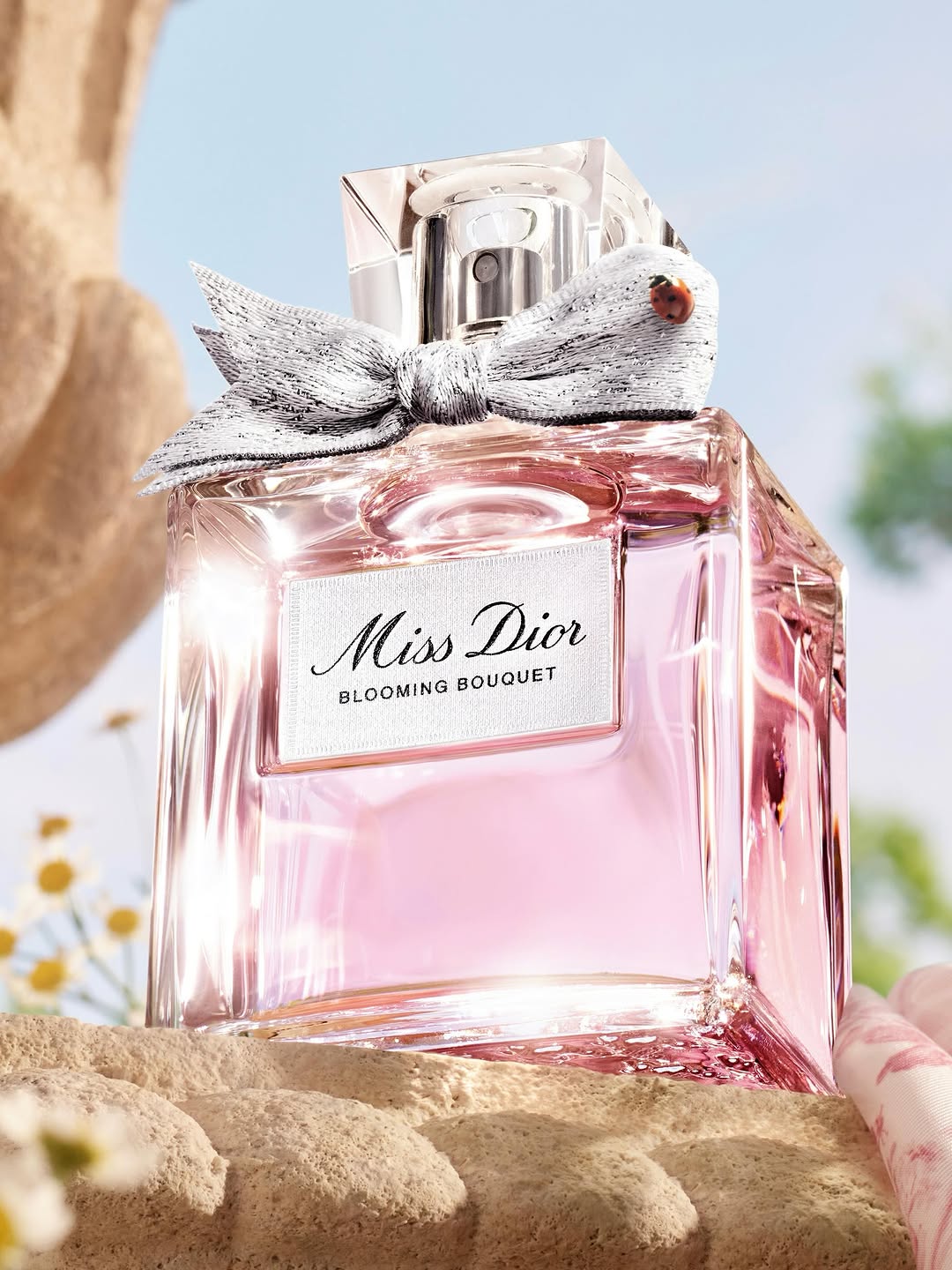 Leonard Mechineau X Dior Beauty Jun. 26