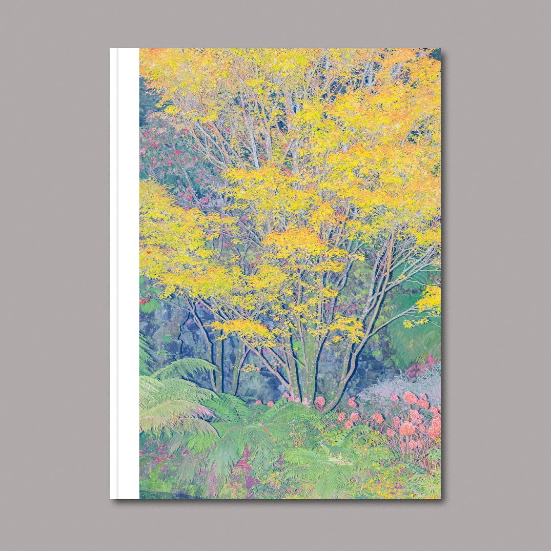 Samantha et Samuel Hoppe |  Sep. 22