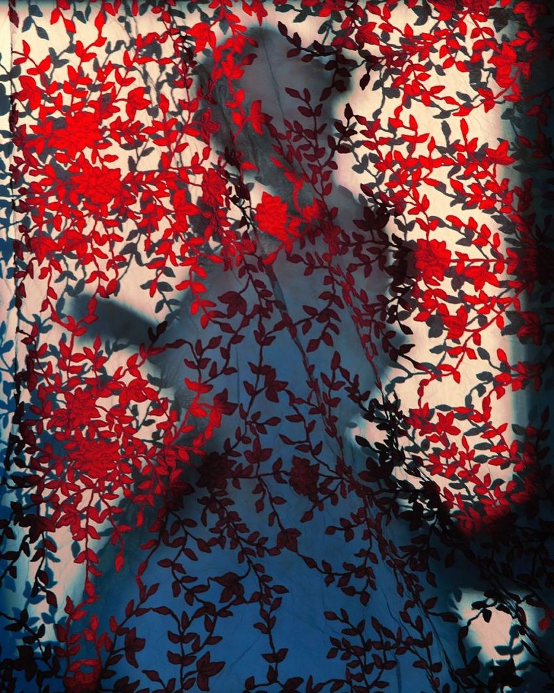 Christophe Guye Galerie |  Mar. 23