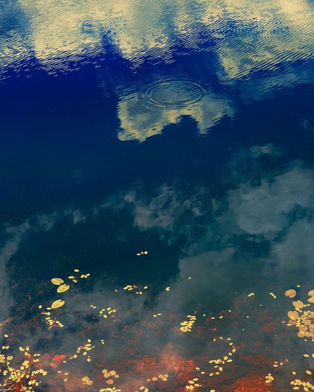 Christophe Guye Galerie |  Mar. 23