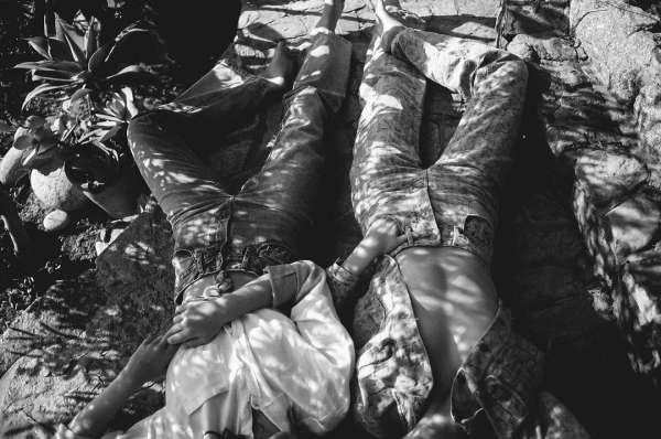 Theo Gosselin