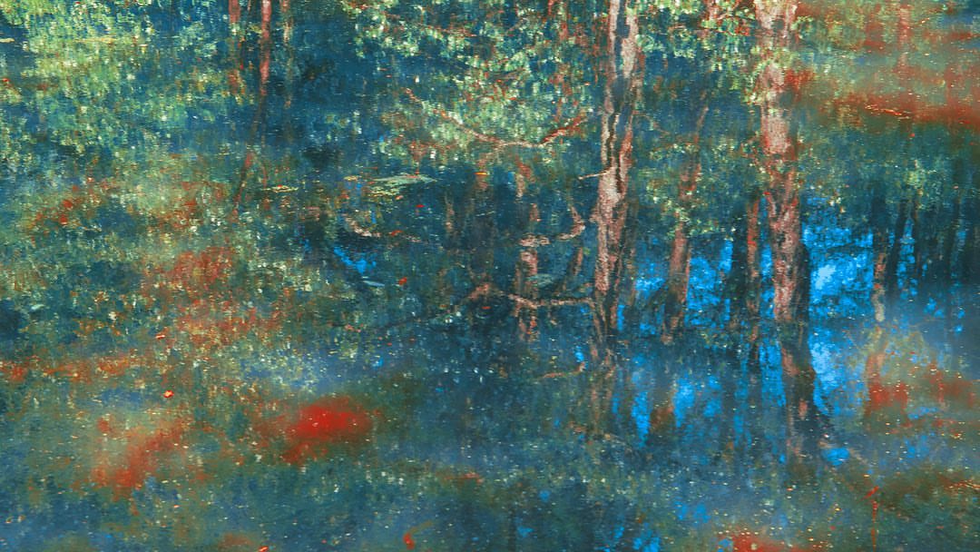 The Macallan |  May. 23