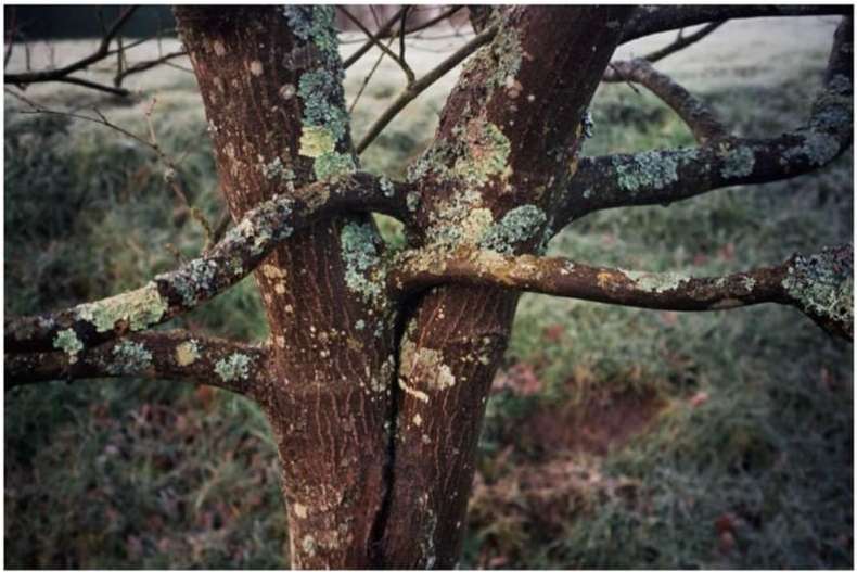 A HUG FROM THE ART WORLD |  Nov. 23