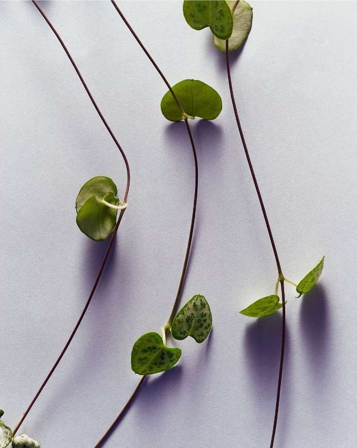 M Le Monde |  Feb. 24