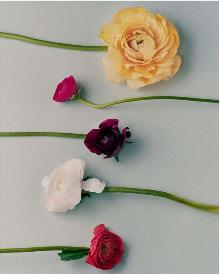 M Le Monde |  Feb. 24