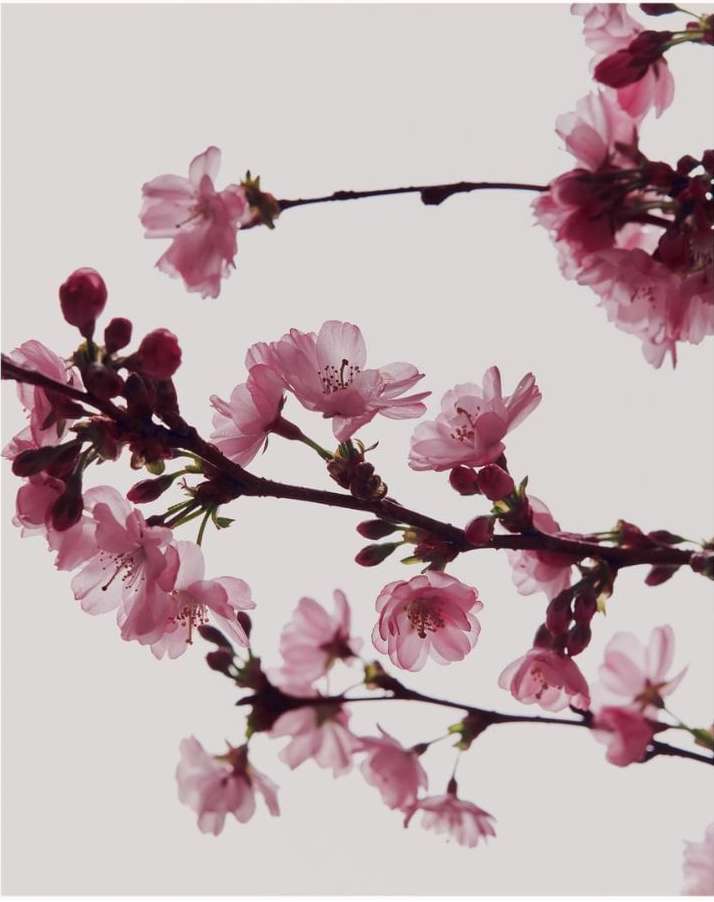 M Le Monde |  Apr. 24