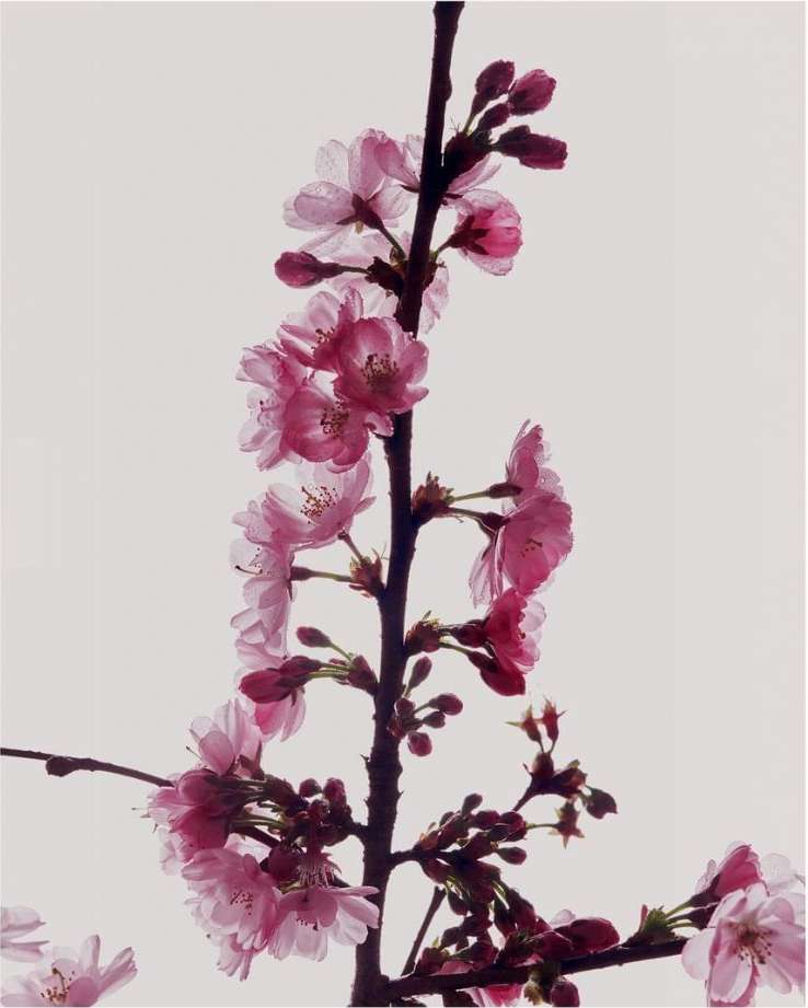 M Le Monde |  Apr. 24