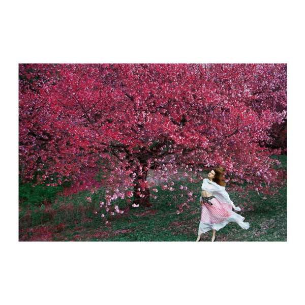 Erik Madigan Heck