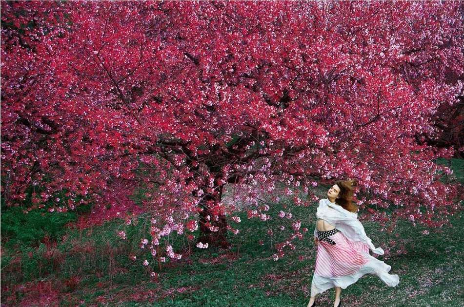 Erik Madigan Heck