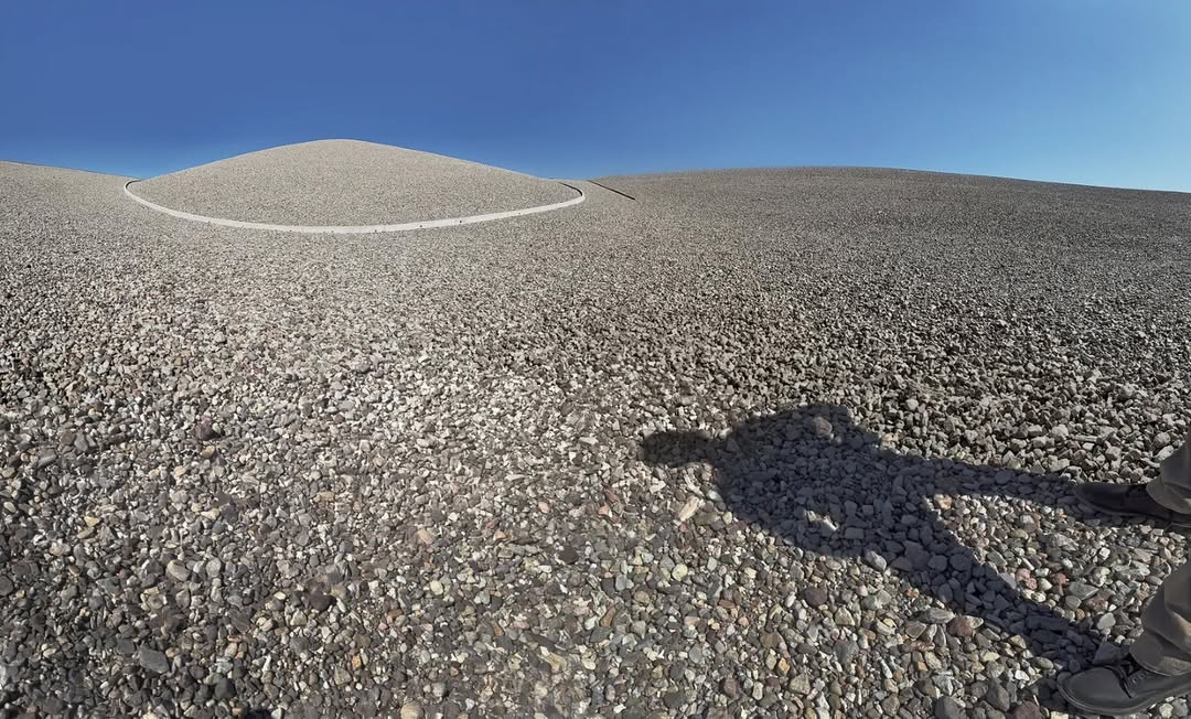 Annie Leibovitz X Timothée Chalamet for Vogue US Nov. 25