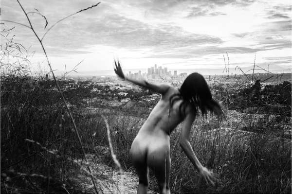 Theo Gosselin
