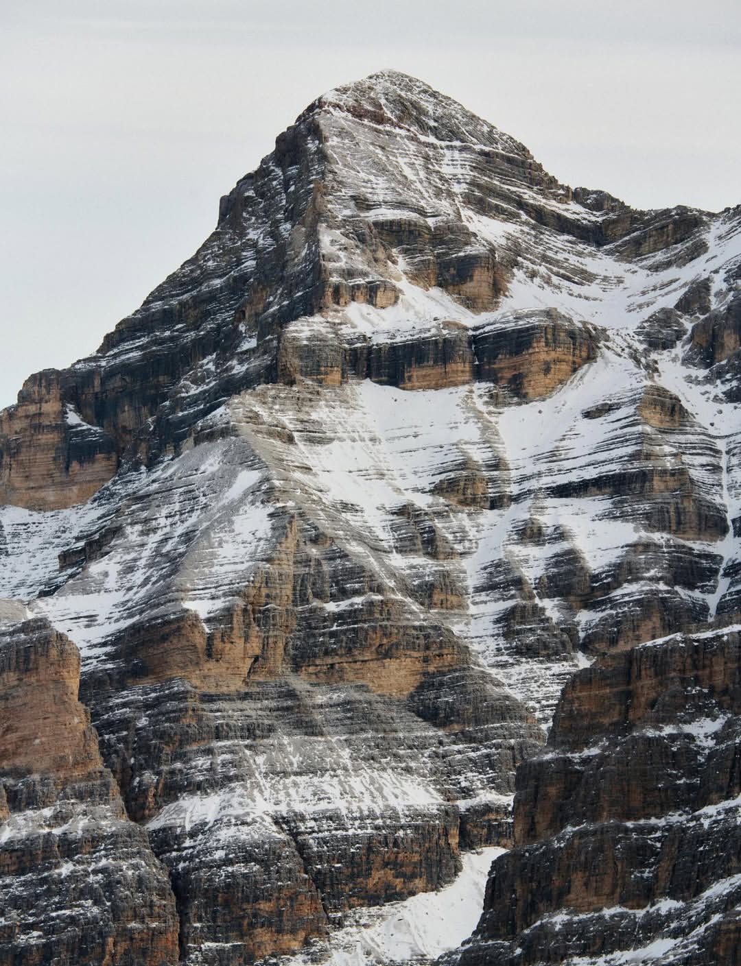 James Harvey-Kelly X Polo Ralph Lauren