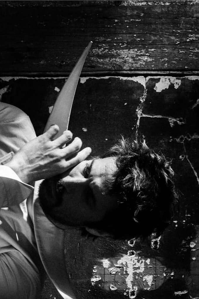 Theo Gosselin X Vestal