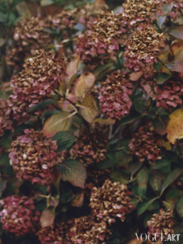 Vogue China Art Supplement x Nancy Zetian Z...