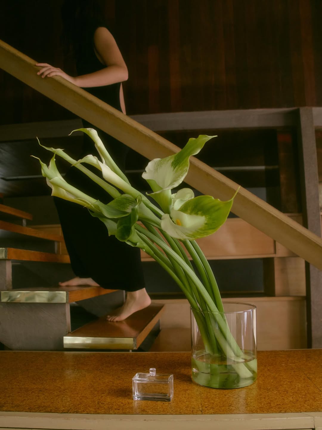 Gorgeous Nothings ® |  Mar. 26