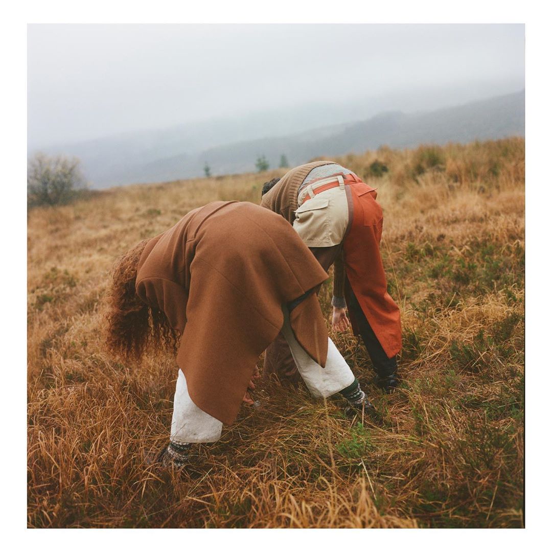 The Plant |  May. 20