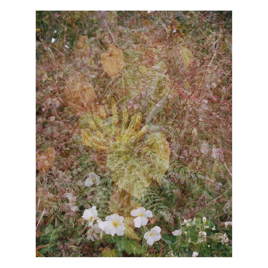 Pleasure Garden Magazine |  Jul. 20