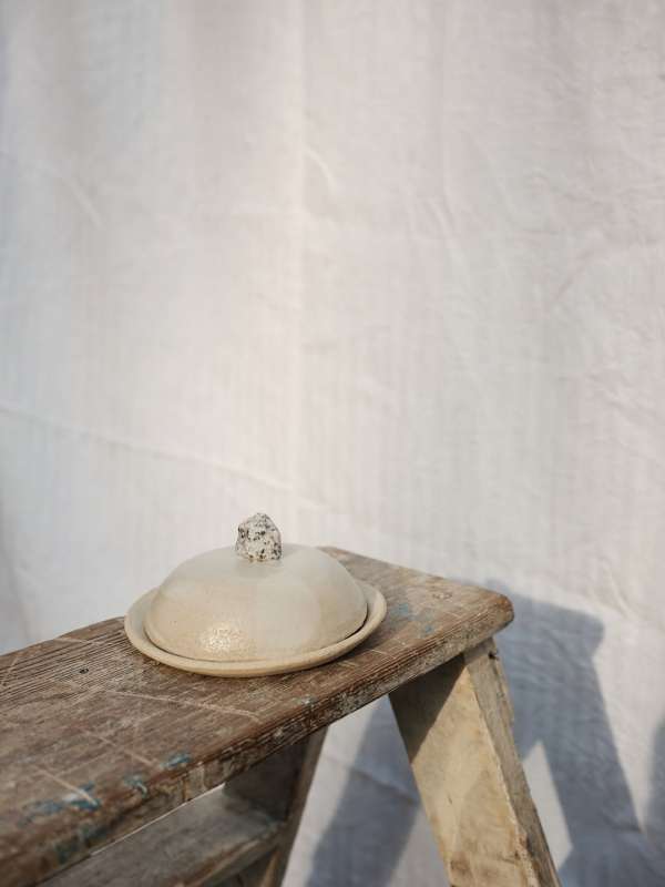 Liz Seabrook