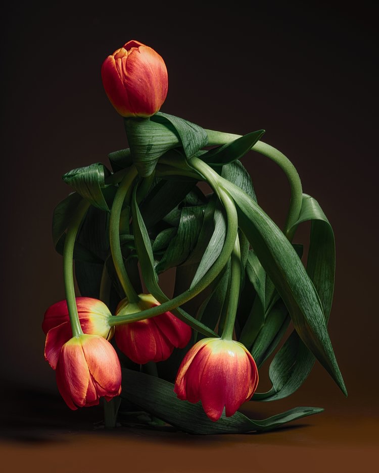 Suzanne Saroff