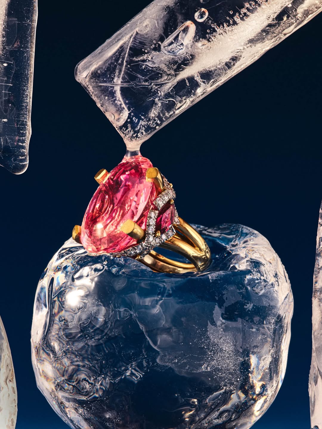 Suzanne Saroff X David Webb