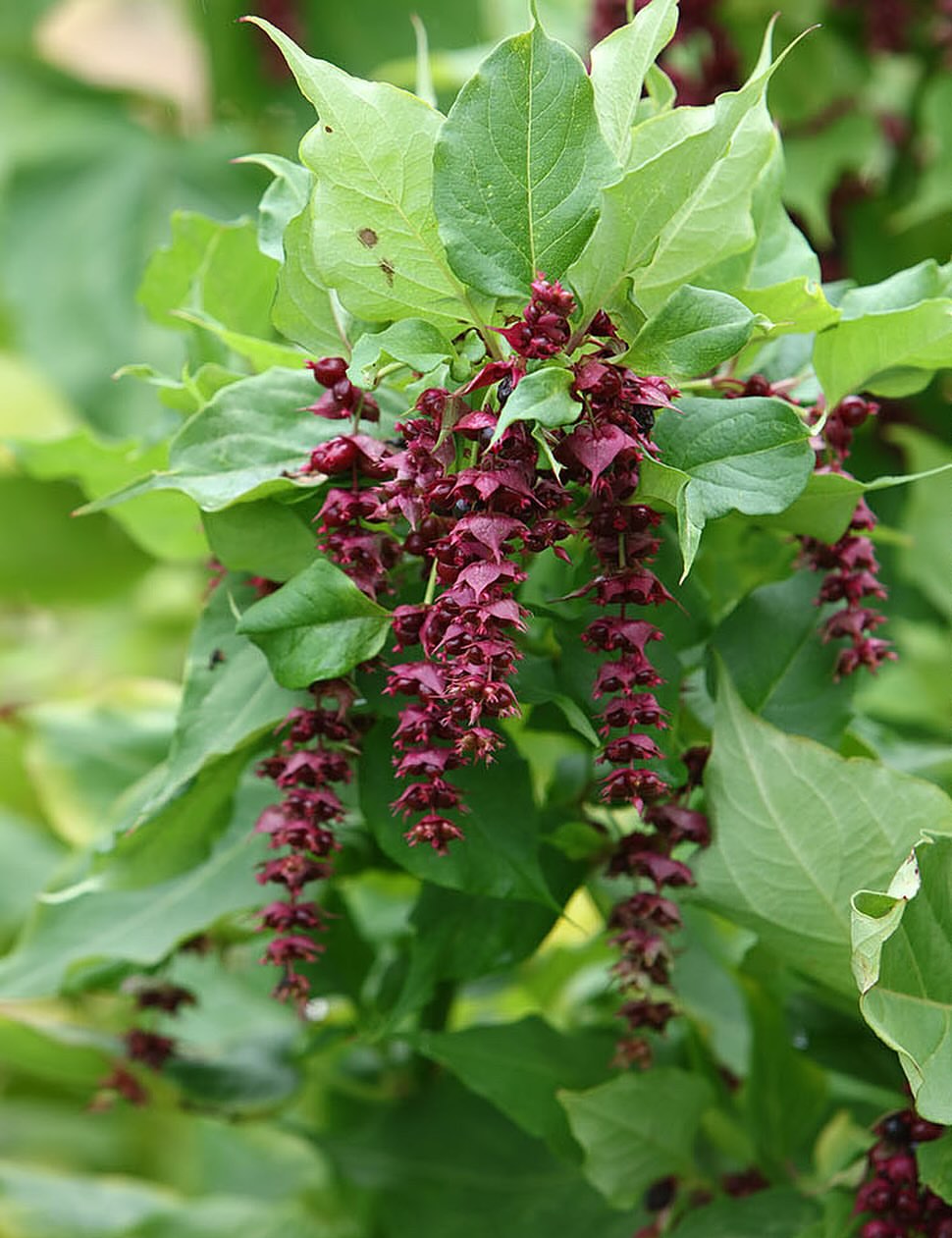 Christophe Boulze X Le Parisien Week-End Oct. 25