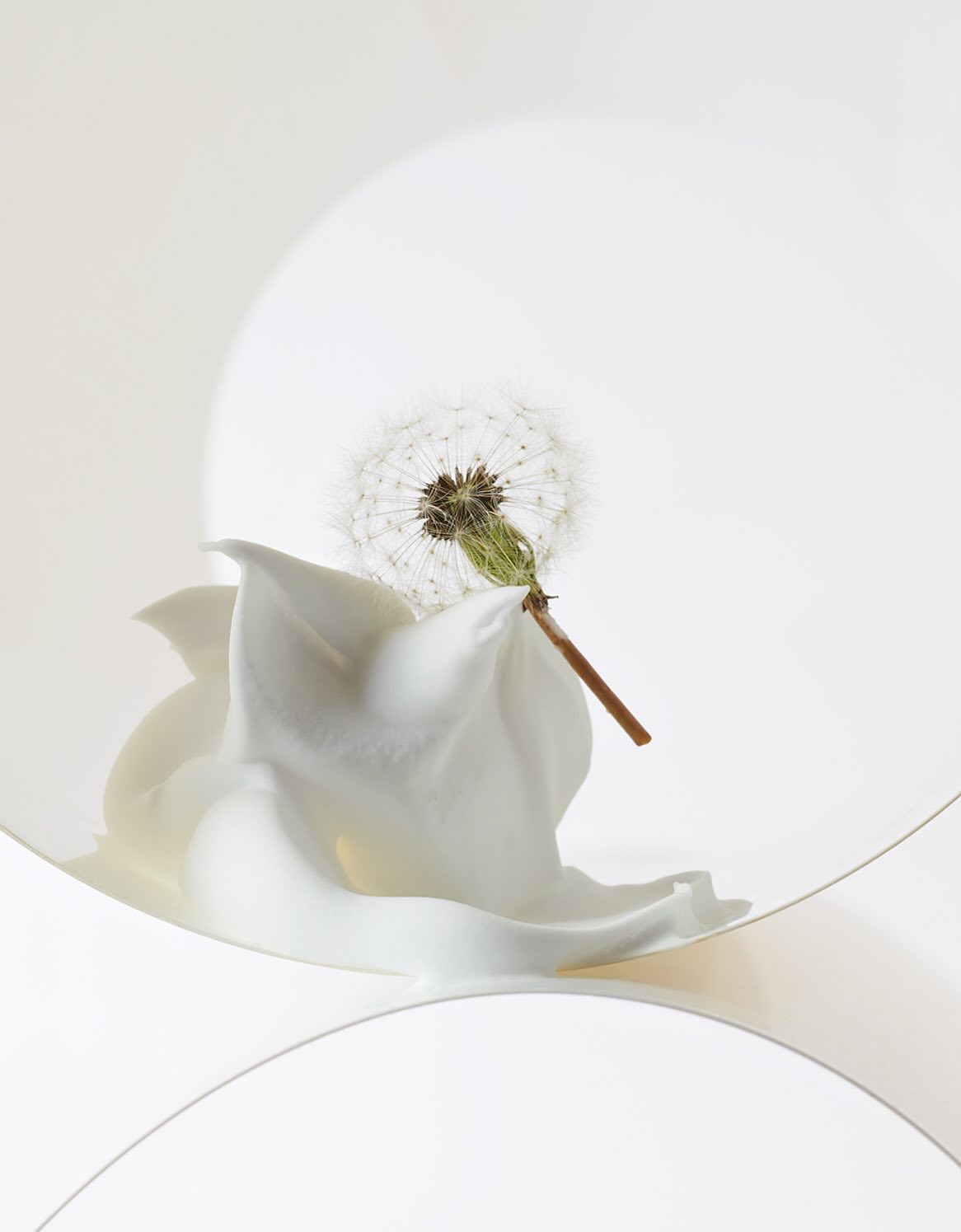 Stephan Abry Dec. 25