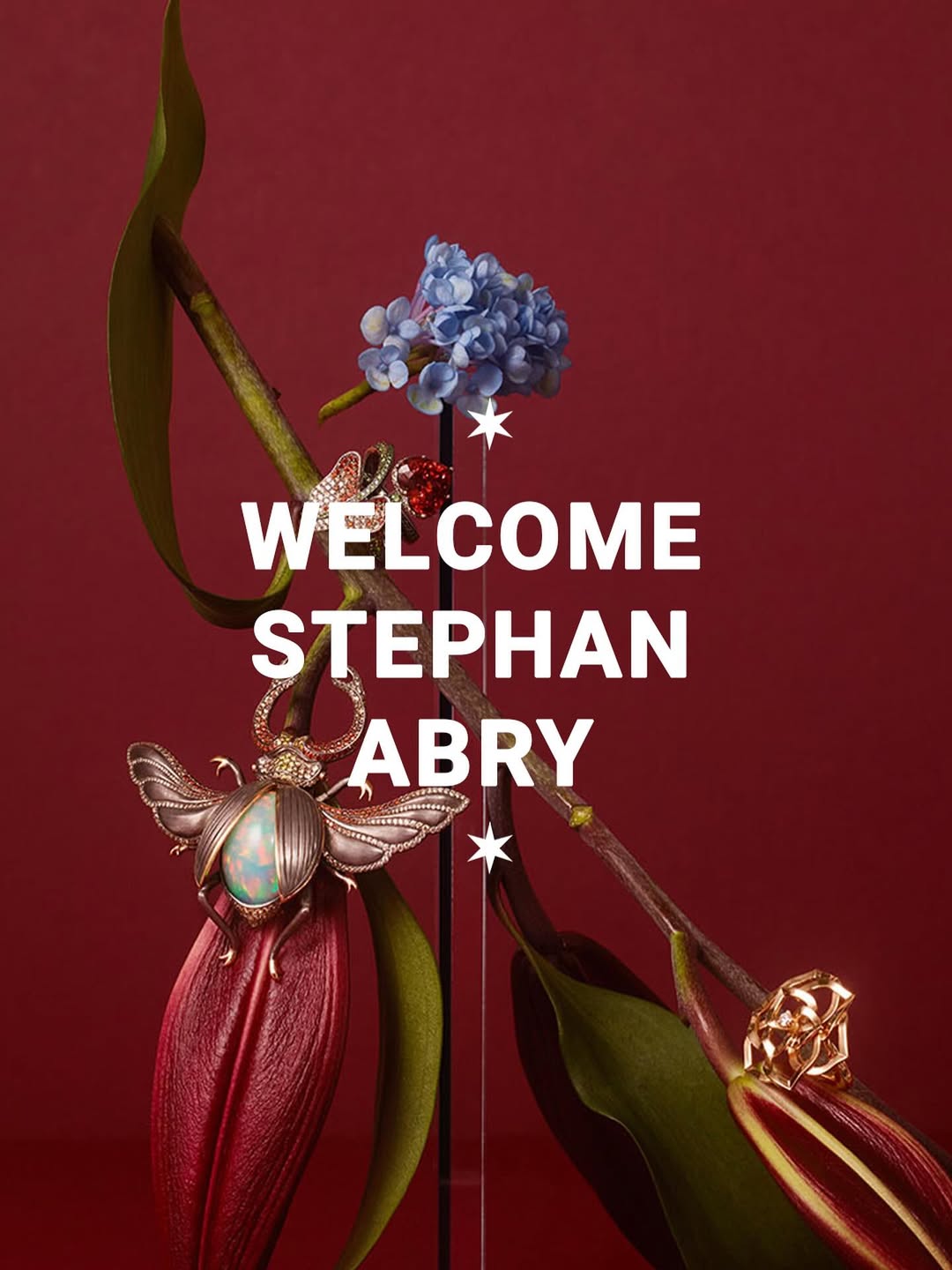 Stephan Abry