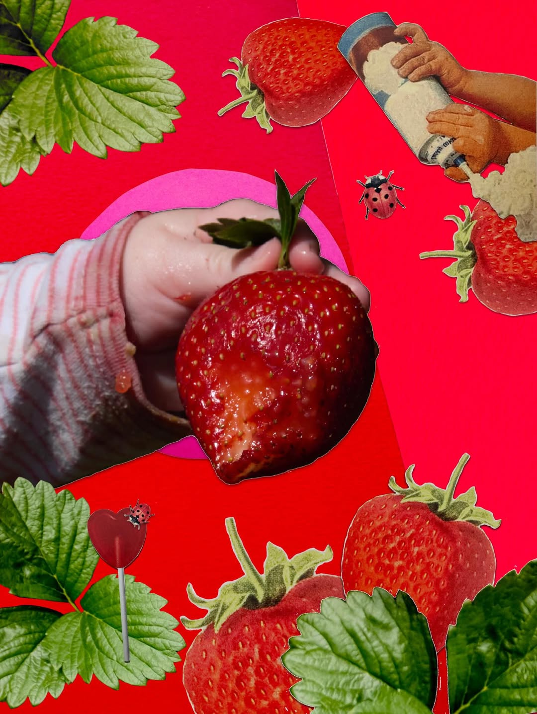 Louise Hagger X Pantone