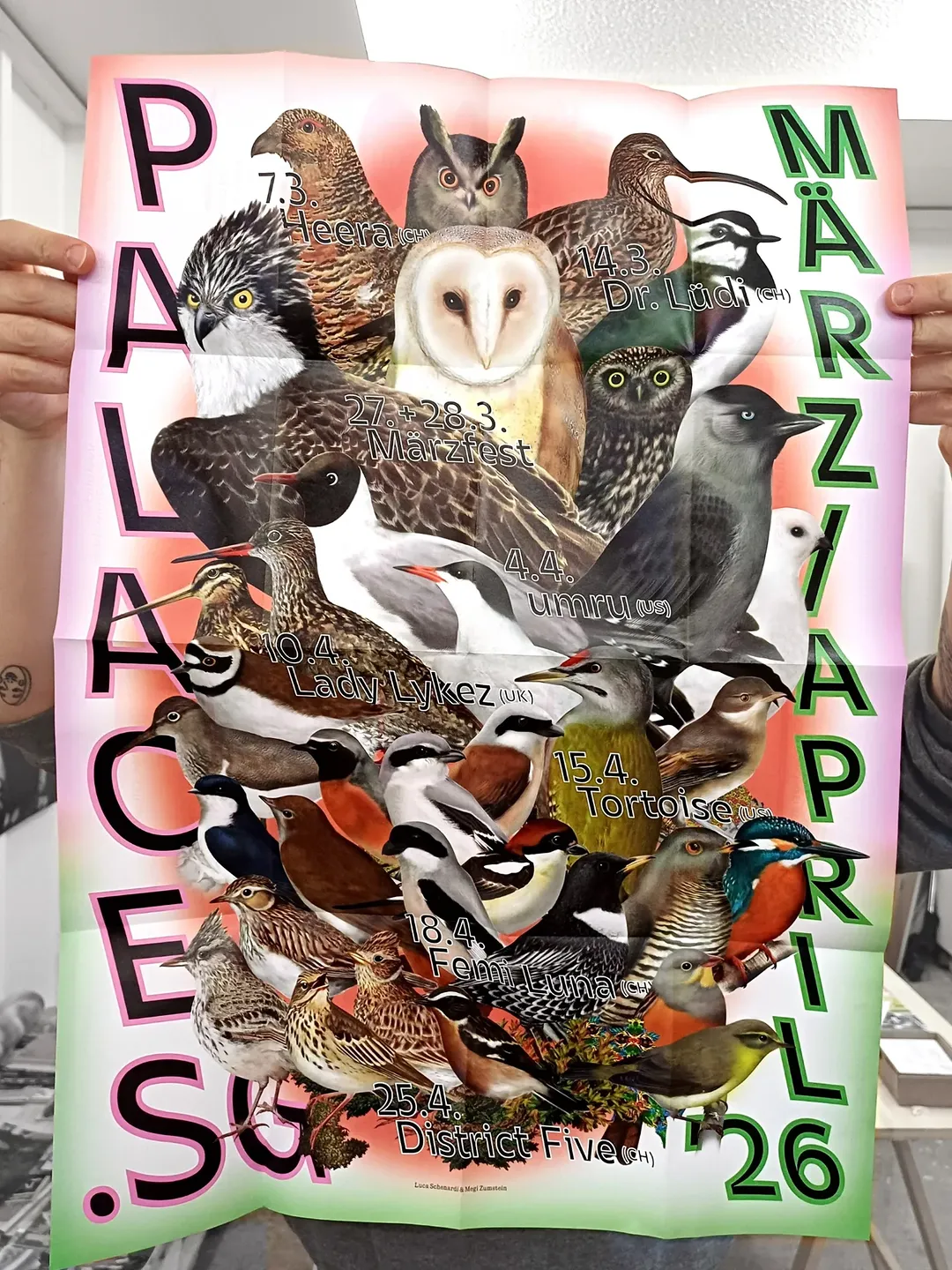 Luca Schenardi X Palace St.Gallen