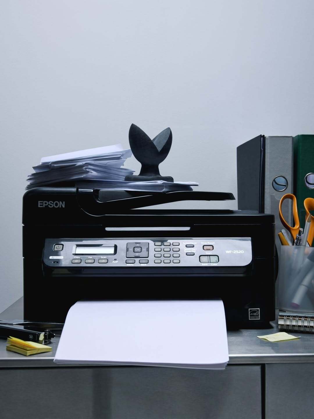 Lucas Laurent Nov. 25