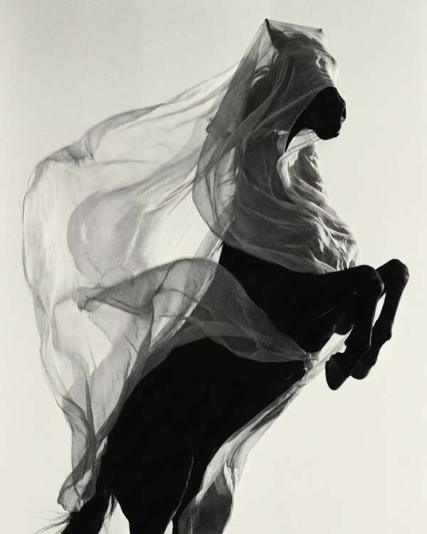 Lucian Bor