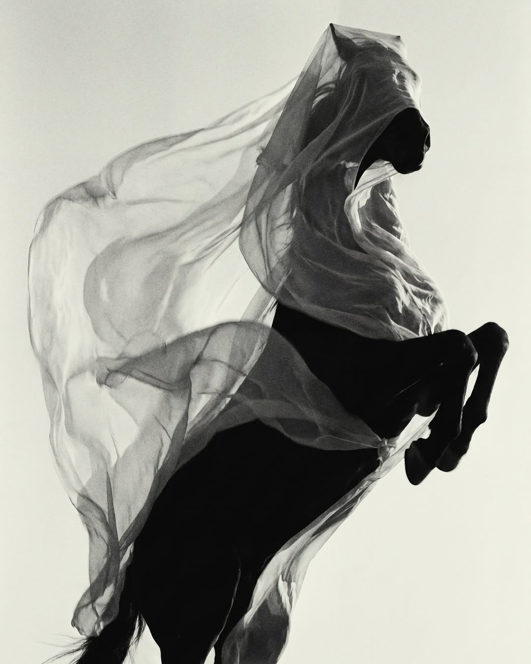 Lucian Bor