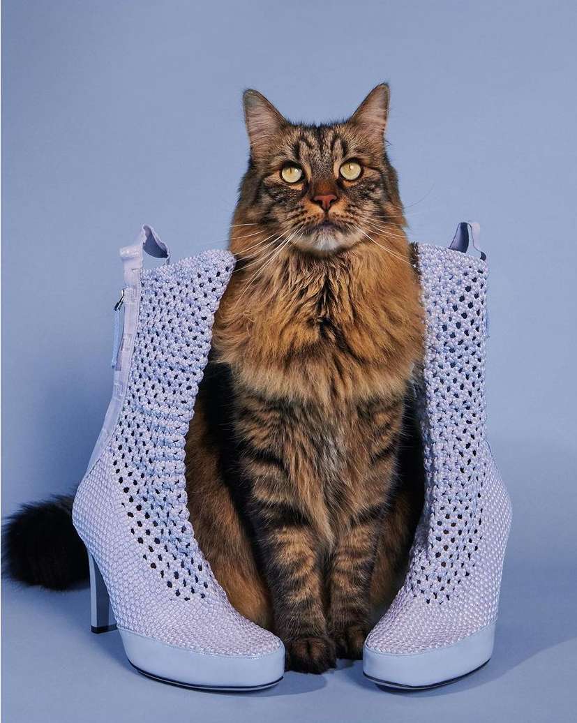 French Magazine |  Jul. 23